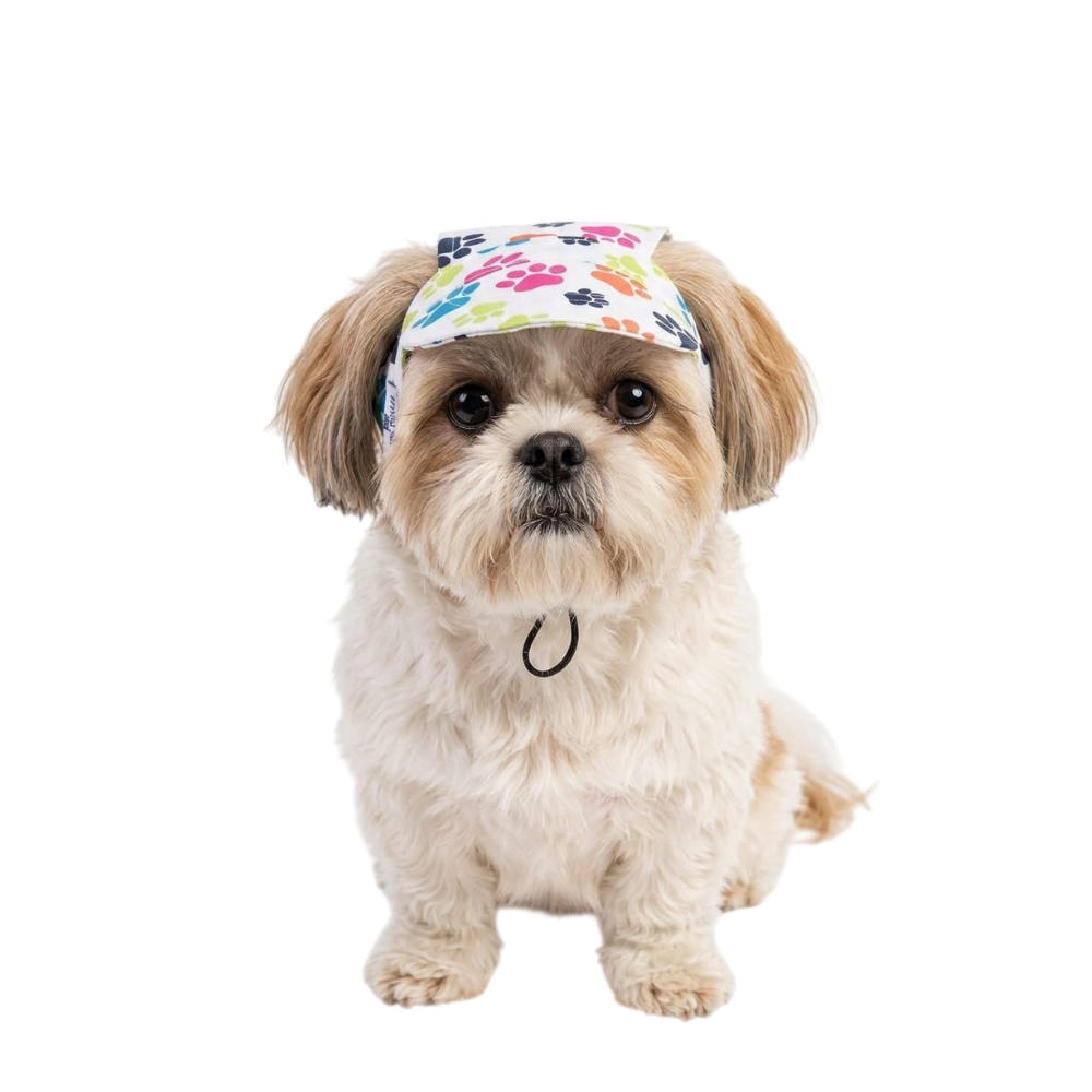 Pets Empire Adjustable Sporty Paw Print Cap For Dogs - Sun Protection & Style