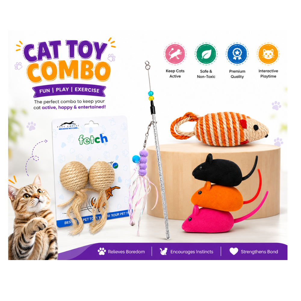 Pets Empire Interactive Cat Toy Combo Pack – 4 in 1 Fun Play Set