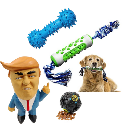 Pets Empire Large Dog Toy Combo - Pack of 4