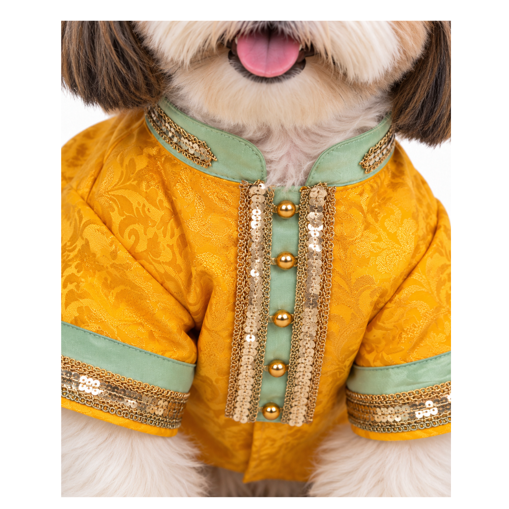 Pets Empire Yellow Brocade Festive Kurta For Small Breeds Dog