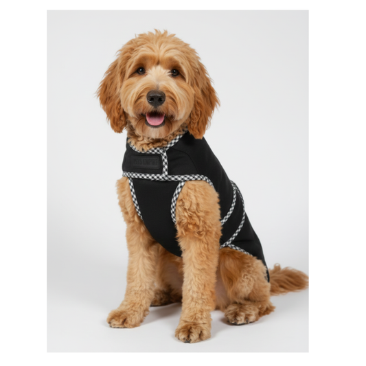Pets Empire Classic Winter Coat For Dogs - Black