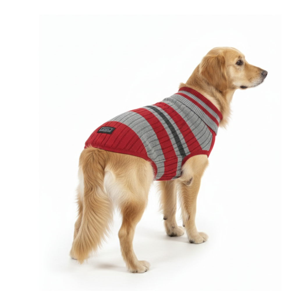 Pets Empire Premium Winter Sweater for Dogs- Red