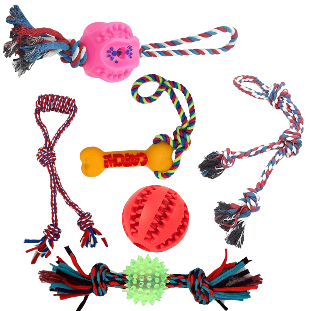 Pets Empire Combo of Rope Toy Medium Breed Dogs- (Pack of 6)
