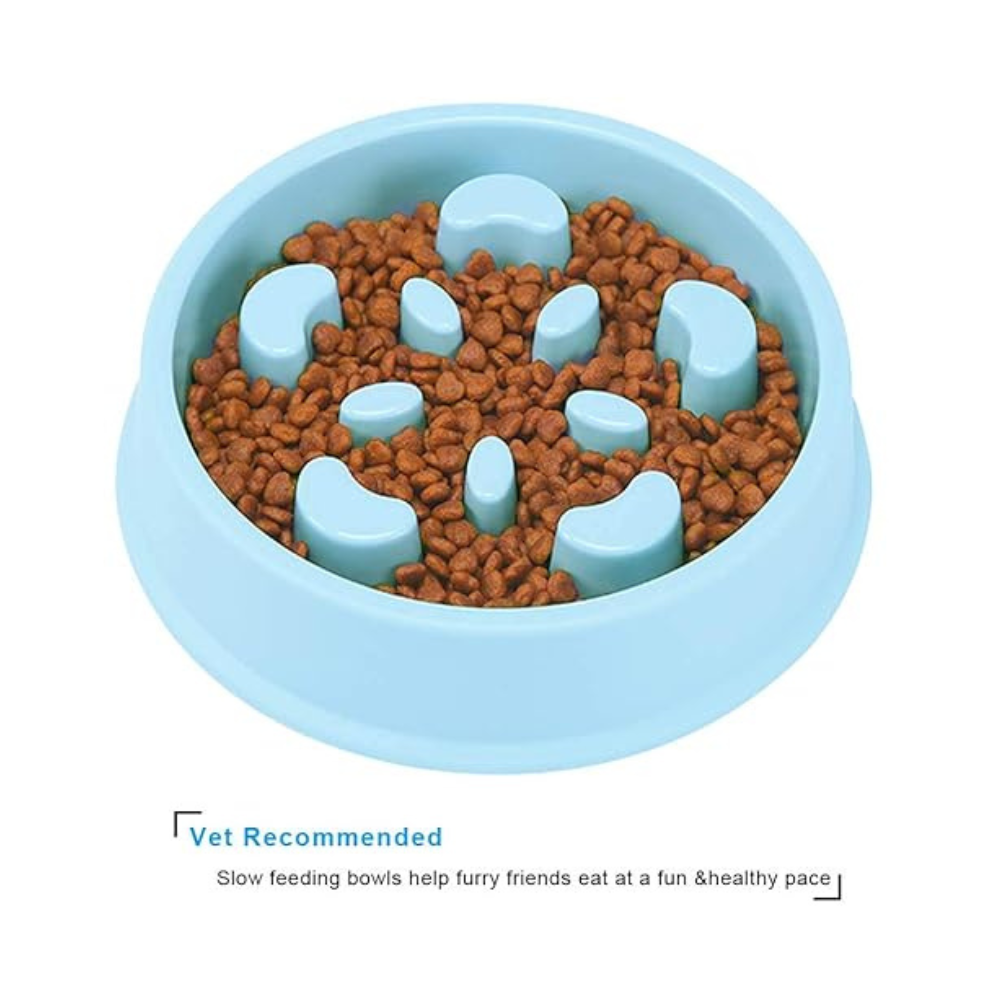 Pets Empire Slow Feeder Plastic Dog Bowl- 1 Peace