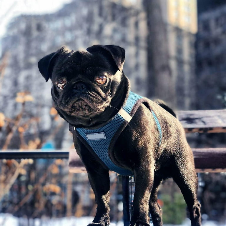Pets Empire Solid Mesh Harness for Dogs