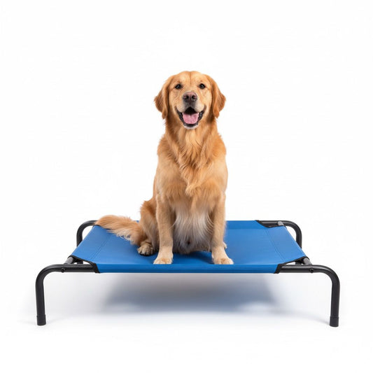 Pets Empire  Elevated Cooling Pets Bed (Blue)