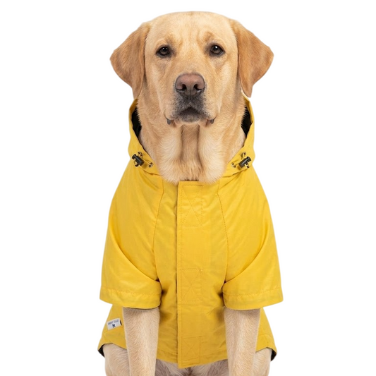 Pets Empire Monsoon Essential Raincoats (Yellow)