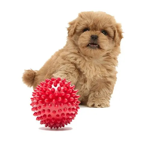 Pets Empire Spike Ball for Dogs - Pack of 2