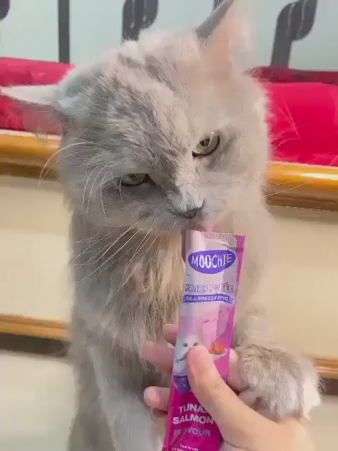Moochie Creamy Treat for Cats- Tuna & Salmon (15g Each)
