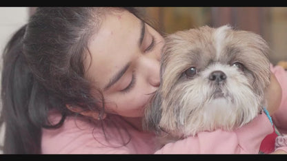 Pets Empire All Natural Pet Wipes