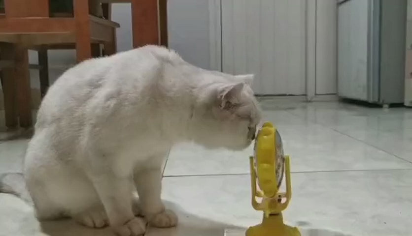 Pets Empire Food Dispenser Interactive Windmill Cat Toy