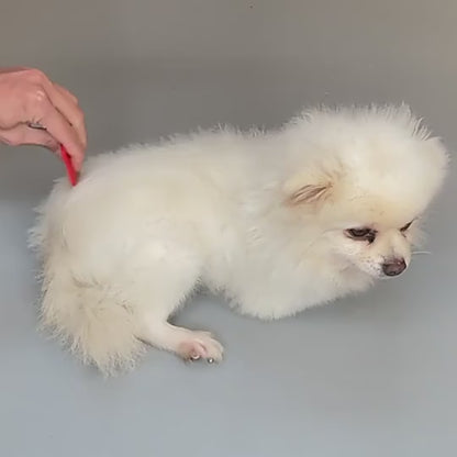 Pets Empire Ticks & Flee Comb for Dogs & Cats