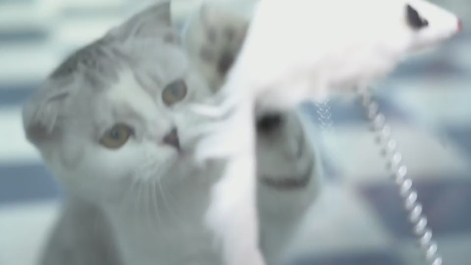 Pets Empire Catch The Mouse Motion Cat Toy