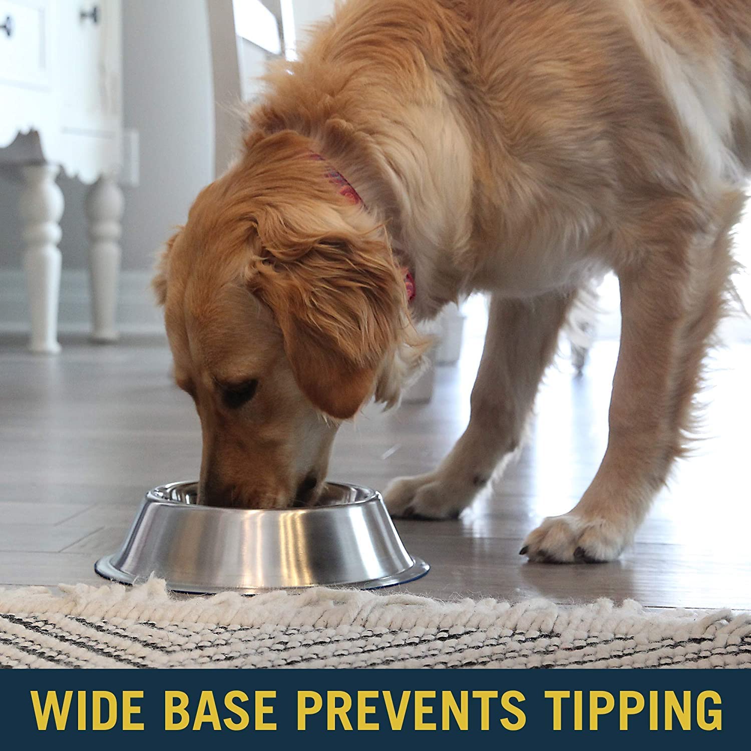 Pets Empire Fixed Rubber Bowl - Pets Empire