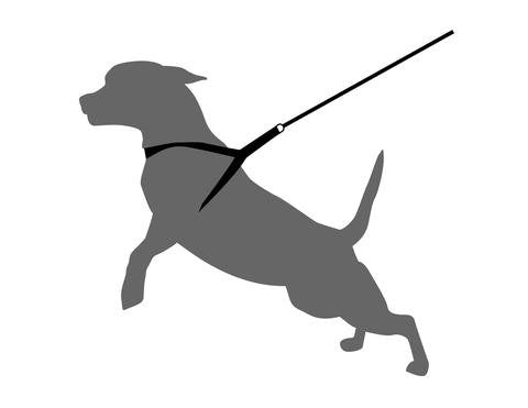 Pets Empire Step-in Chest Harness with Leash (Multicolor)