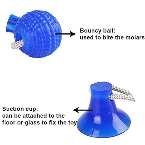 Pets Empire Suction Cup Dog Tug Toys, Interactive Dog Rope