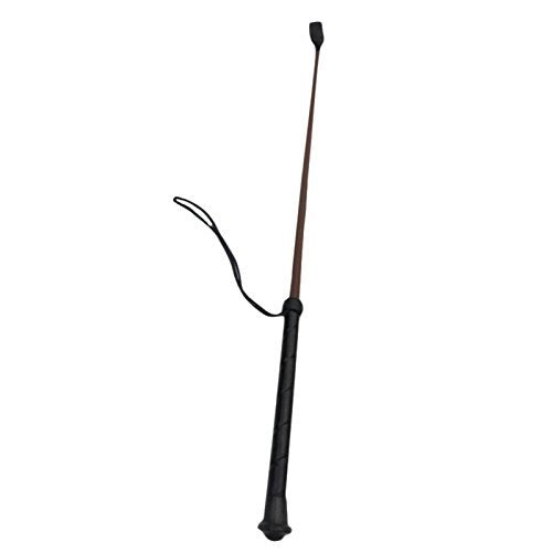 Pets Empire Dog Hunter Stick - Pets Empire