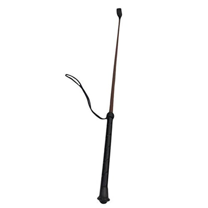 Pets Empire Dog Hunter Stick - Pets Empire