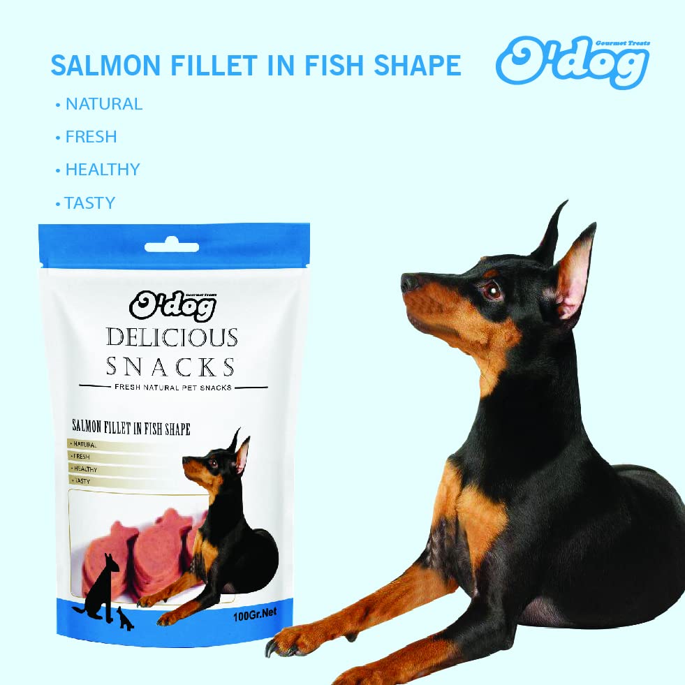 O'Dog Salmon Fillet in Fish shape - 100g (Buy 1 Get 1 Free)