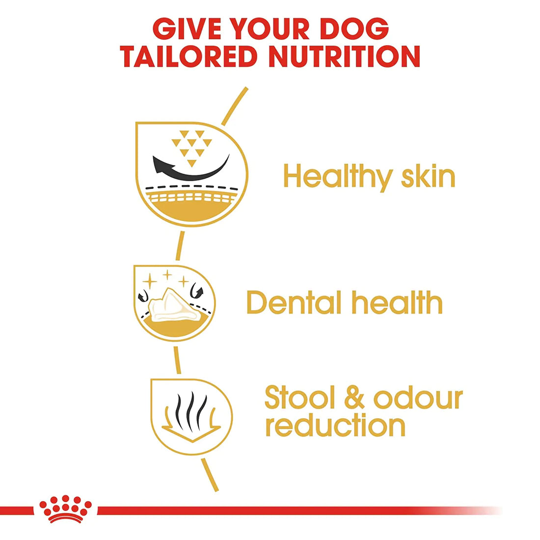 Royal Canin ShihTzu Adult Dry Dog Food