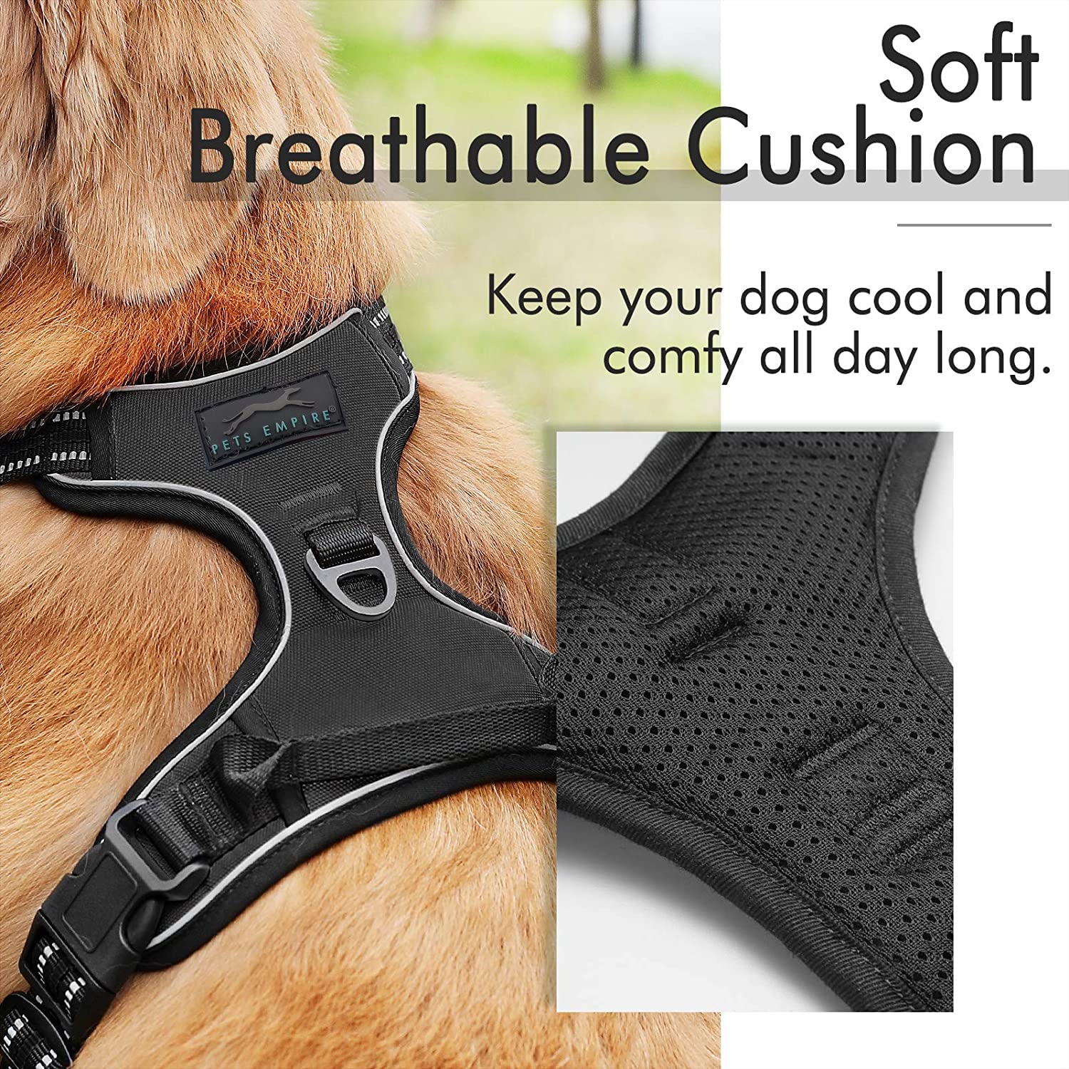 Pets Empire Classic Mesh Padded Dog Harness - Black - Pets Empire
