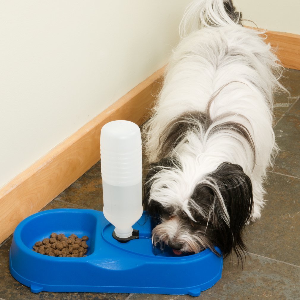 Pets Empire Automatic Water Dispenser Feeder Utensils Bowl, 200 ML - Pets Empire