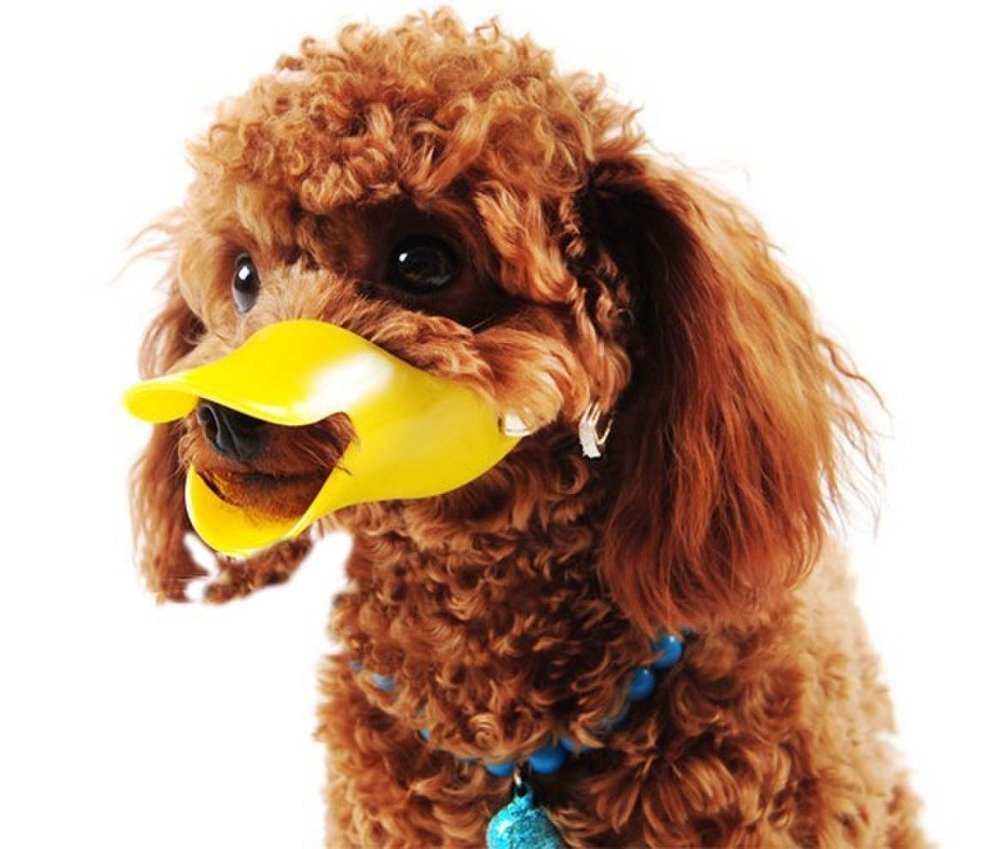 Pets Empire Silica Gel Yellow Duck Muzzle - Pets Empire