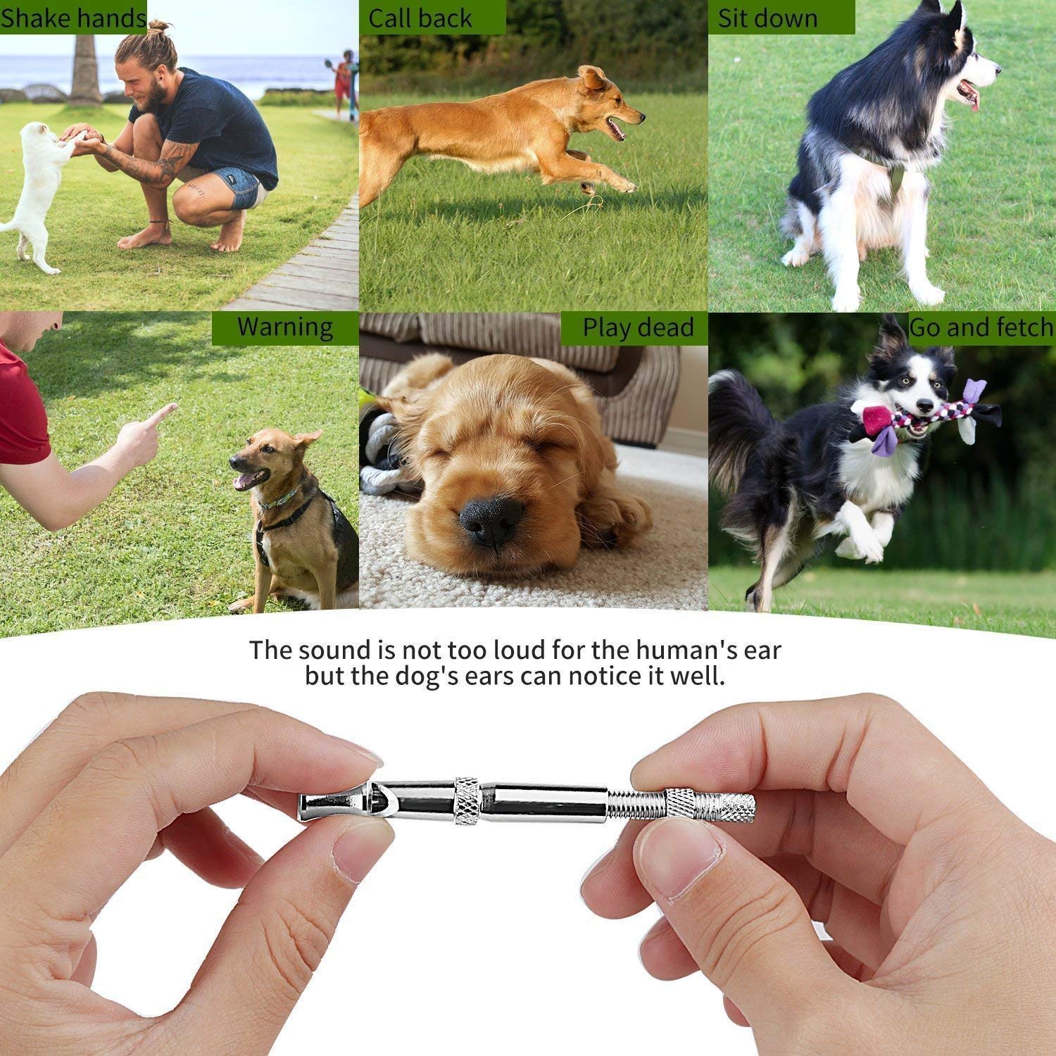 Pets Empire Dog Whistle to Stop Barking - Pets Empire