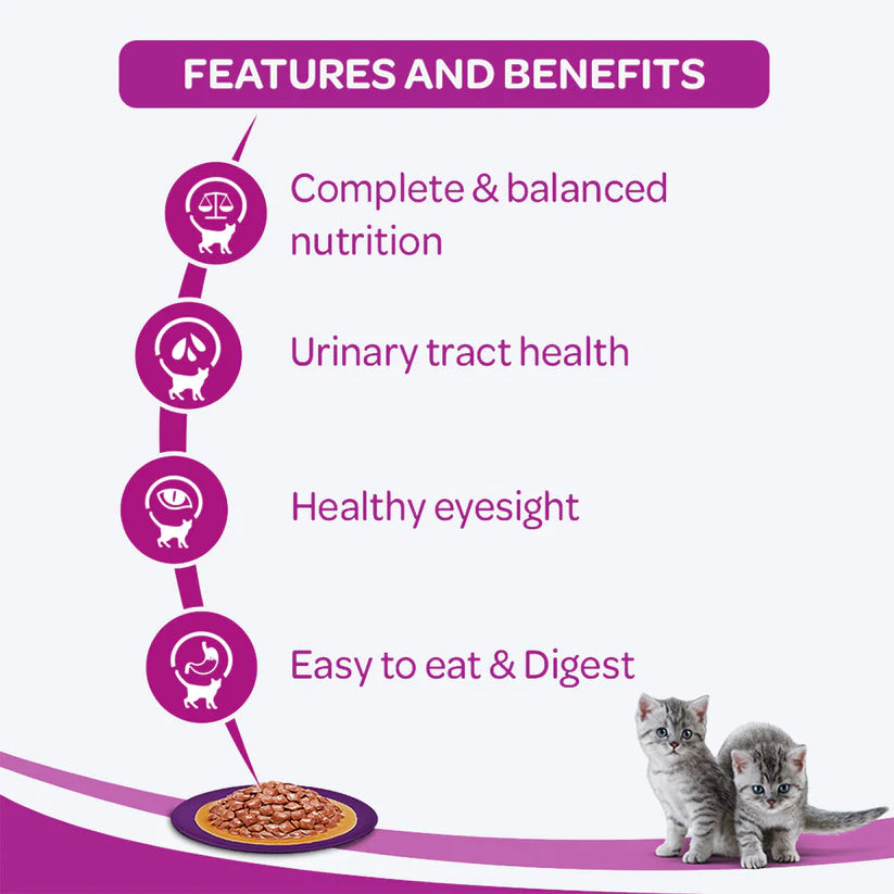 Whiskas Chicken in Gravy Junior Wet Kitten food - 80g