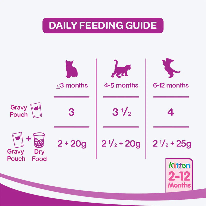Whiskas Chicken in Gravy Junior Wet Kitten food - 80g